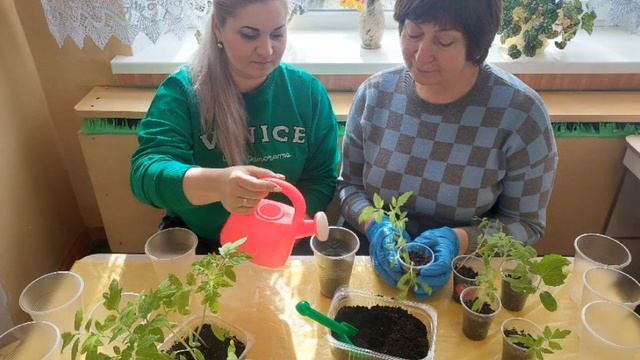 Гпупа 14 "Веселка". Екологічний проєкт "Тепла грядка" Ви? смотреть онлайн