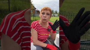 ЗАЩИЩАЕМ РАССАДУ от СОЛНЦА!
