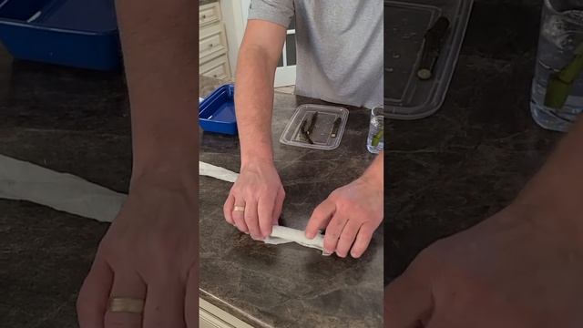 укоренение черенков инжира 3 способами. Часть 1 смотреть онлайн