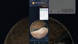 кто такая девочка Красивый Кёнделен?