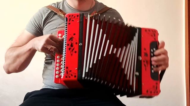 Гармонь уменьшенная кировская Восток. Ля мажор.