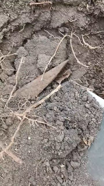 Что лежало в земле сотни лет!!! Долгожданная находка ме смотреть онлайн