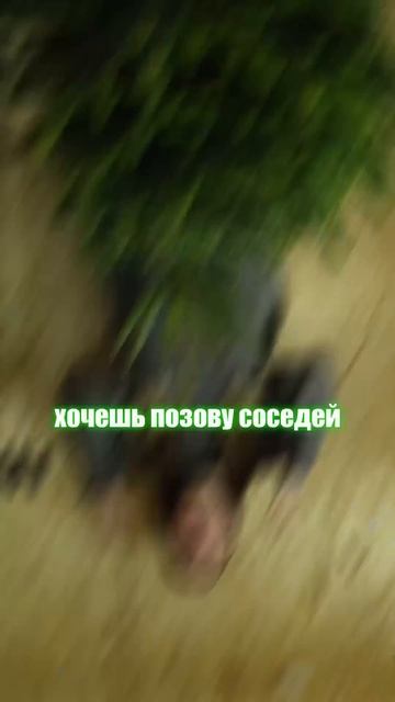 Хочешь ёлку? Новый год близко! смотреть онлайн