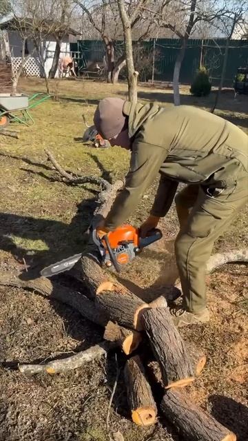 Бензопила Holzfforma G182E #holzfforma #stihl смотреть онлайн