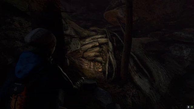 Through the Woods (Через лес) Прохождение # 1 смотреть онлайн