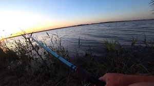 ЧЕСТНАЯ РЫБАЛКА НА ПЛАТНОМ ПРУДУ! Ловля КАРПА, САЗАНА на фидер.