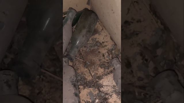 Находки на чердаке заброшенного дома🔥 #находка #коп #? смотреть онлайн