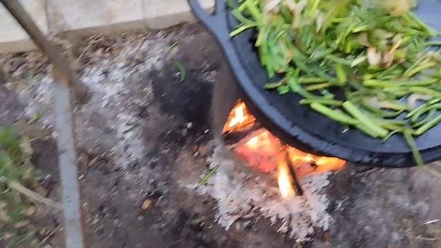 жареные стрелки чеснока с яйцом