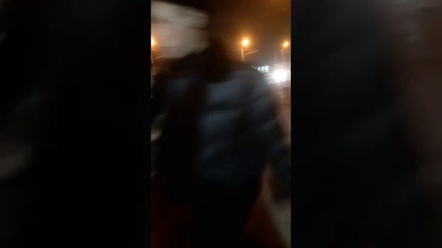  Встречаю Новый год с кошками жду свой мангал!?