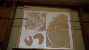 2017-01-28 Зоология беспозвоночных (Личинки) - Богомолова Е.В. Часть 1