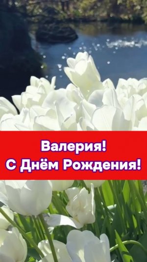 Валерия, с Днём Рождения!