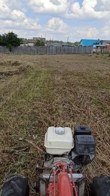 тапочка в пол# #villagelife #деревня #жизнь#лето#сено#сенокос смотреть онлайн