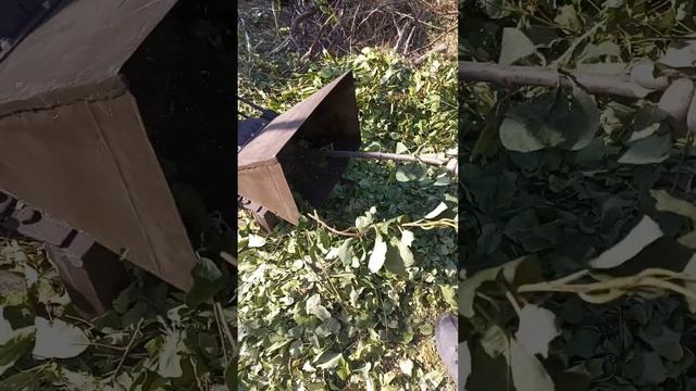 Измельчитель смотреть онлайн