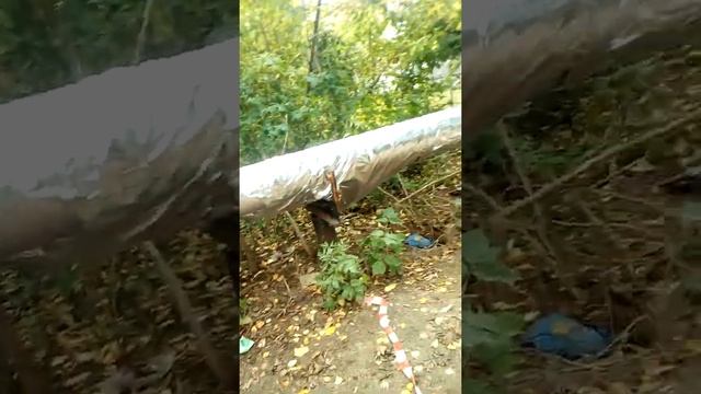 начала начал 1 серия смотреть онлайн