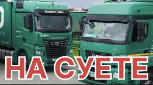 ✅ НА СУЕТЕ.