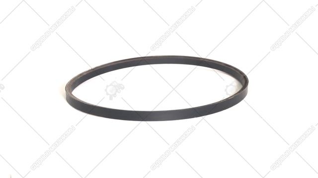 Ремень привода шнека EVOline 5LXA885 3D обзор. смотреть онлайн