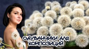 КАК НАДОЛГО СОХРАНИТЬ ОДУВАНЧИКИ ДЛЯ ИНТЕРЬЕРНЫХ КОМПОЗИЦИЙ  \ DIY