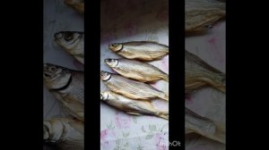 копчение рыбца на щепе ольха.Холодное копчение