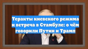 Теракты киевского режима и встреча в Стамбуле: о чём говорили Путин и Трамп