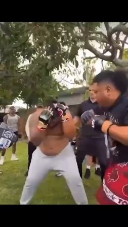 Лучшие нокауты Подпишись и ставь лайк #ufc #mma #youtube #sports #tiktok #shortsvideo #russia #box