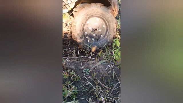 Копаем картошку мотоблоки Huter 7800.Картофелекопалка вар