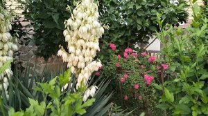 ВОКРУГ ТАКАЯ КРАСОТА😍