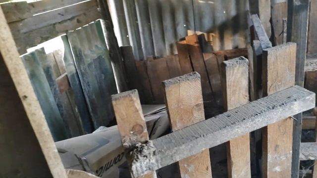 содержание свиней в домашних условиях🐖🐖🐖