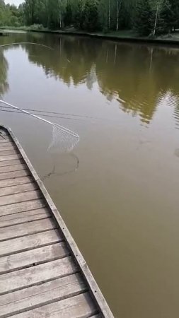 КРХ ТРИФОН