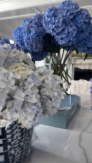 #blue #hydrangea #гортензия #garden #гортензія #flowers #park#jardin#shorts #ア? смотреть онлайн
