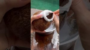 КАК ПРОРАСТИТЬ КОКОС В ДОМАШНИХ УСЛОВИЯХ? КАК ВЫРАСТИ?