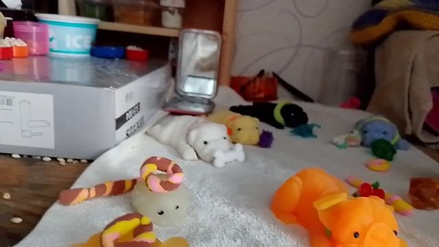 что нужно взять собачкам на отдых? ✣ смотреть онлайн