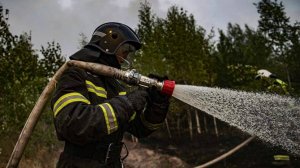 Площадь лесных пожаров в Хабаровском крае выросла в 1,5 раза за сутки