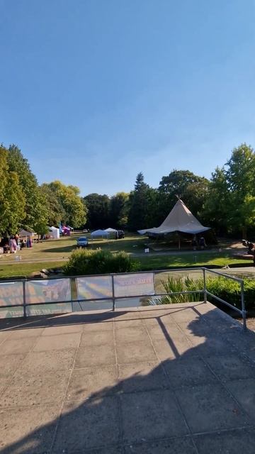 Петунья #спасибозапросмотр #садоводство #сад #огород #? смотреть онлайн