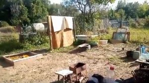 Серебряные пруды п. Новоклемово 14.09.24. О. В. Н.