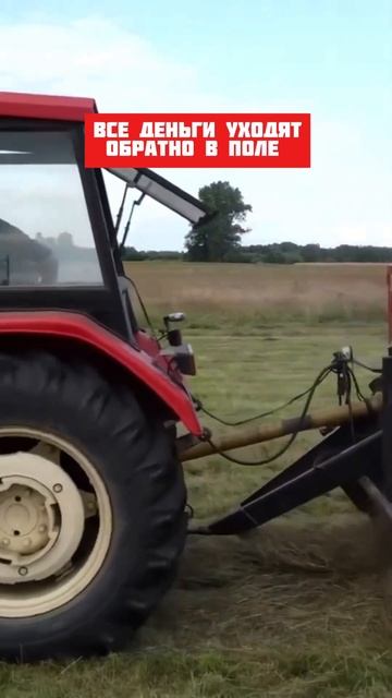 Похоже на правду? #2024 #мтз #техника смотреть онлайн