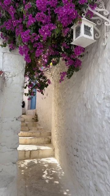 Какой город? #рыбалка #отдых смотреть онлайн