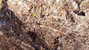 Вымирающая деревня, глубинная пушка-гонка MGC LaB Delta 100...