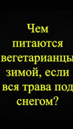 Мозгоправ самоубился. Книга первая. Вопрос 53