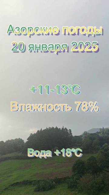 Азорские погоды 20 января 2025