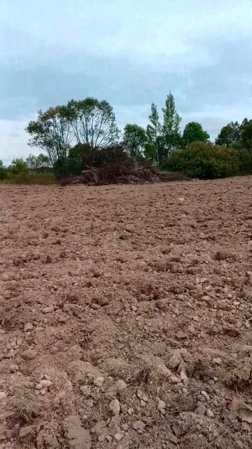 вот такая находка👍🤝🦾💰 #shots #st944 #железо #металлоиск? смотреть онлайн