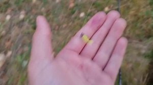 ротан на воблеры #ротанинг