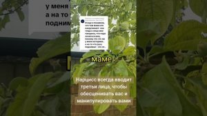 Триангуляция Нарцисса. Он всегда вводит в отношения третьи лица!