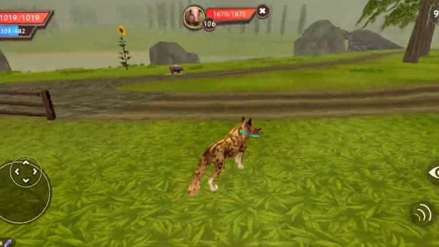 Играю за гепарда, выполняю квест и задания по Вайлд па? смотреть онлайн