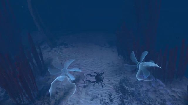 Ocean Rift VR (2017). Познавательный экспириенс про подводных ? смотреть онлайн