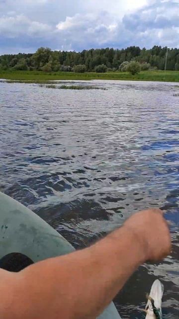 Рыбалка в Пологрудово #рыбалка #караси#щуки#лето#авгус смотреть онлайн