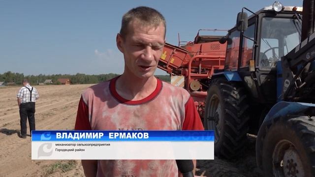 Здравствуй, милая картошка! смотреть онлайн