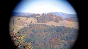 Hensoldt 8x30 Dienstglas | Bundeswehr Fernglas | German Army Binocular | бинокль