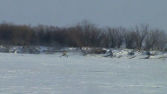 Hi-Max подлет 180123