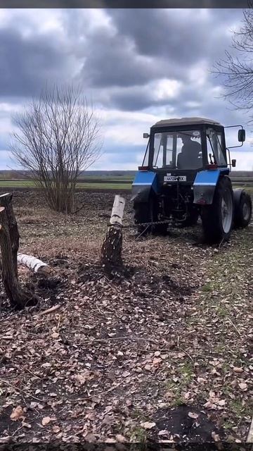 Мтз 80 #мтз #мтз80 смотреть онлайн