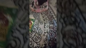1000027373.mp4